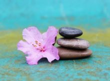 Ayurveda