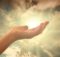 Law of Attraction