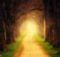 Walking Meditation