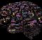 Brainwave Meditation