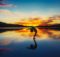 Yoga and weight loss