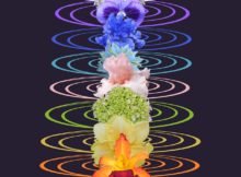 Chakras