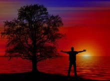 Manifesting Abundance