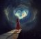 dreams
