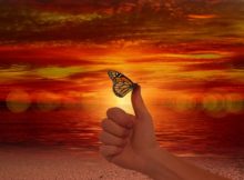 spirituality