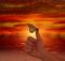 spirituality