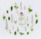herbs that heal