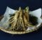 Ginseng