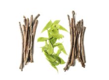 Ayurveda