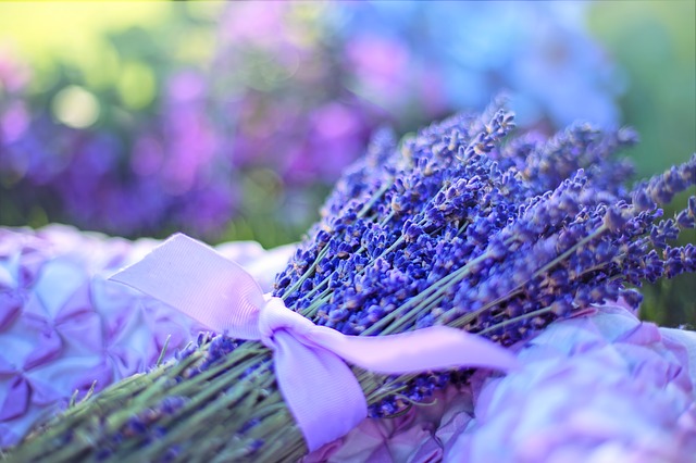 Lavendar