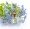 aromatherapy essential oils