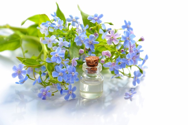 aromatherapy essential oils