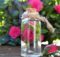 Rose Oil