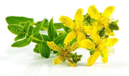 St. John's Wort